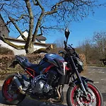 Sauerland Alm Winterberg 5 할렌버그