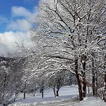 Sauerland Alm Winterberg 5 * 할렌버그