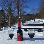 Sauerland Alm Winterberg 5 아파트