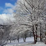 아파트 Sauerland Alm Winterberg 5