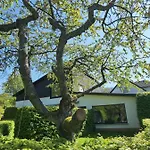 Sauerland Alm Winterberg 5 아파트 할렌버그