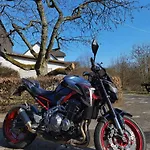 Sauerland Alm Winterberg 5 아파트 할렌버그