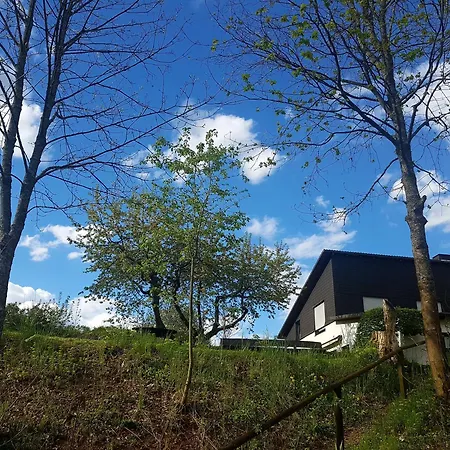 Apartment Sauerland Alm Winterberg 5 Hallenberg