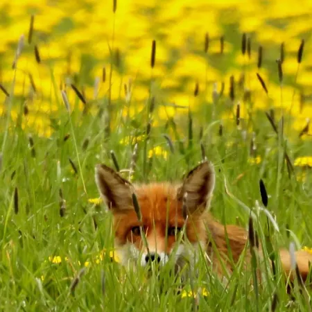 Sauerland Alm Winterberg 5 Apartment *