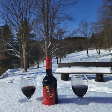 Sauerland Alm Winterberg 5 Mit Pool Appartamento