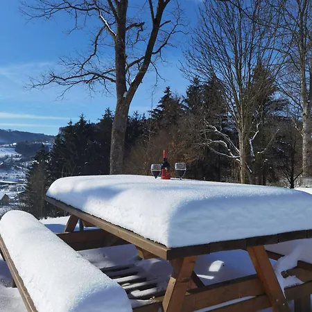 Appartamento Sauerland Alm Winterberg 5 Mit Pool