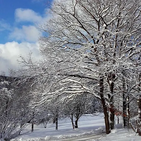 Appartamento Sauerland Alm Winterberg 5 Mit Pool