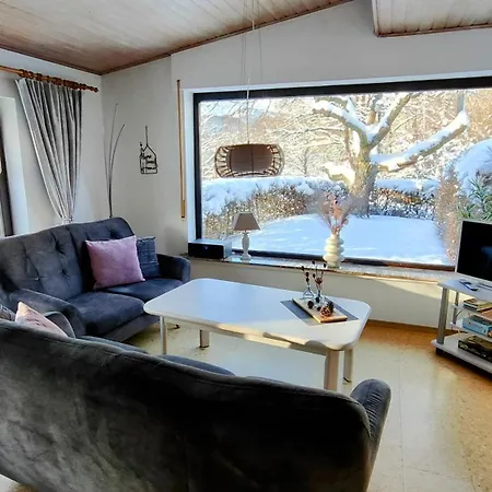 Sauerland Alm Winterberg 5 할렌버그