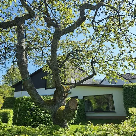 Sauerland Alm Winterberg 5 Mit Pool Appartamento Hallenberg
