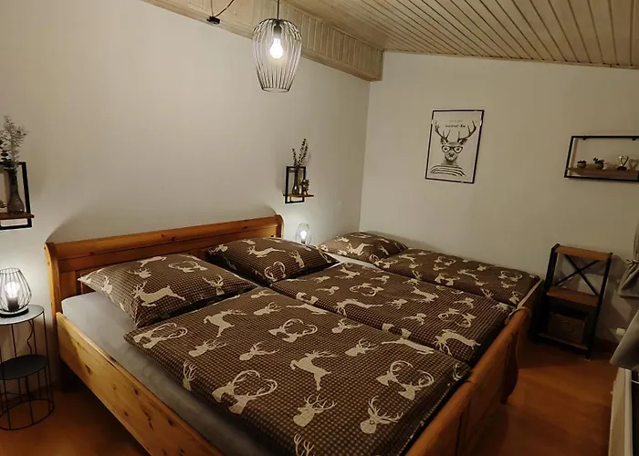 Sauerland Alm Winterberg 5 Hallenberg