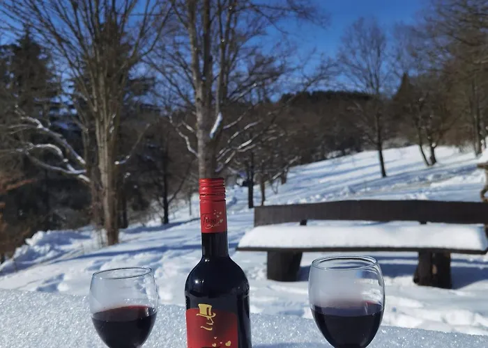 Sauerland Alm Winterberg 5