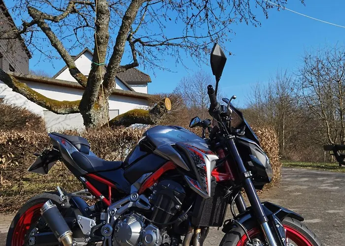 Sauerland Alm Winterberg 5 Hallenberg