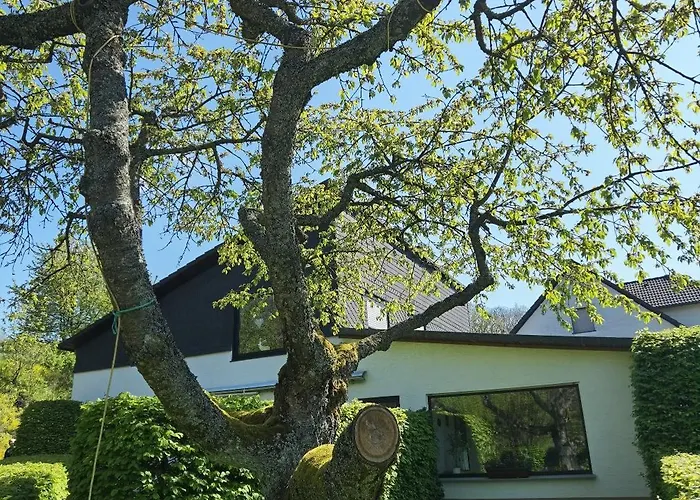 Sauerland Alm Winterberg 5 Apartamento *