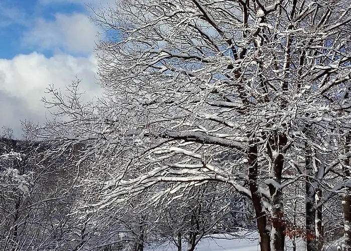 Sauerland Alm Winterberg 5 * Hallenberg