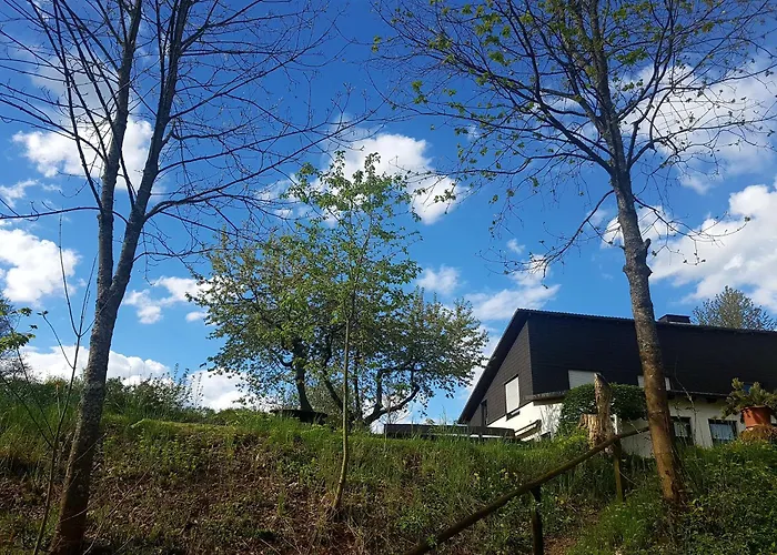 Apartamento Sauerland Alm Winterberg 5 Hallenberg