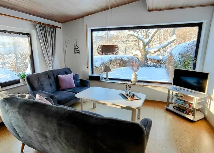 Sauerland Alm Winterberg 5 *