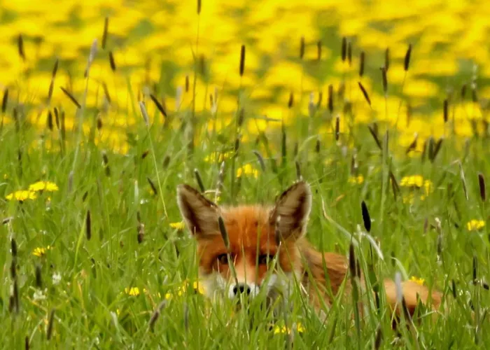 Sauerland Alm Winterberg 5 Apartment *